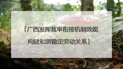 广西发挥裁审衔接机制效能 构建和谐稳定劳动关系