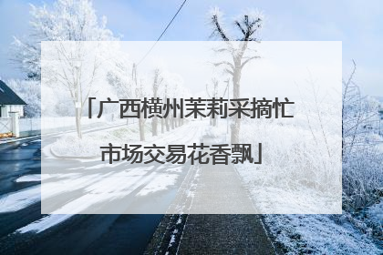 广西横州茉莉采摘忙 市场交易花香飘