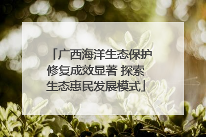 广西海洋生态保护修复成效显著 探索生态惠民发展模式