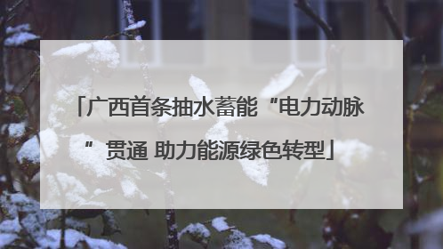广西首条抽水蓄能“电力动脉”贯通 助力能源绿色转型