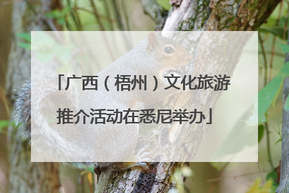 广西（梧州）文化旅游推介活动在悉尼举办