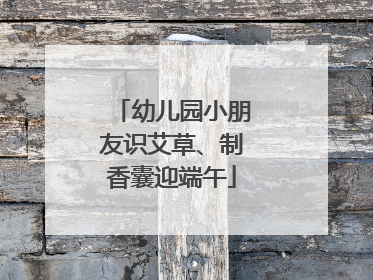 幼儿园小朋友识艾草、制香囊迎端午