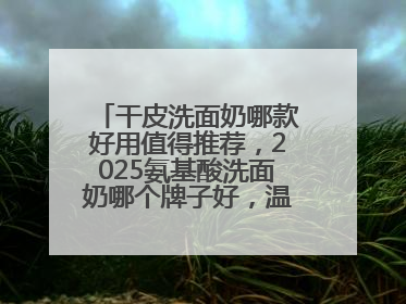 干皮洗面奶哪款好用值得推荐，2025氨基酸洗面奶哪个牌子好，温和在线