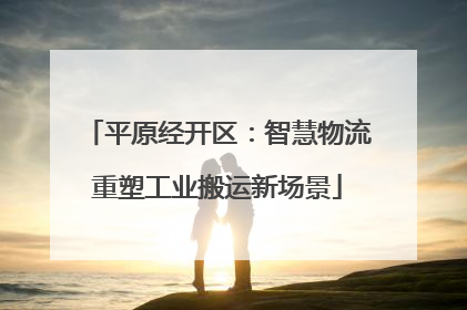 平原经开区：智慧物流重塑工业搬运新场景