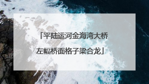 平陆运河金海湾大桥左幅桥面格子梁合龙