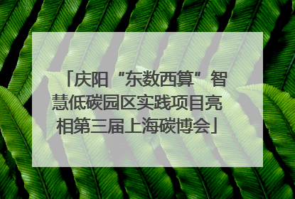 庆阳“东数西算”智慧低碳园区实践项目亮相第三届上海碳博会