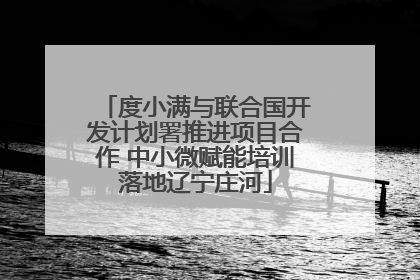 度小满与联合国开发计划署推进项目合作 中小微赋能培训落地辽宁庄河