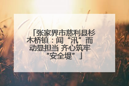 张家界市慈利县杉木桥镇：闻“汛”而动显担当 齐心筑牢“安全堤”