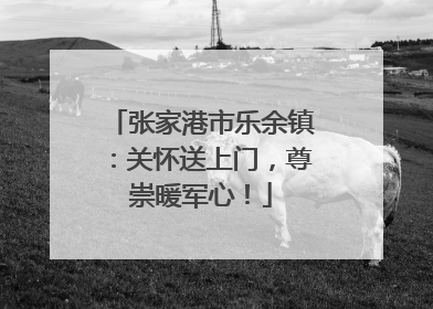 张家港市乐余镇：关怀送上门，尊崇暖军心！