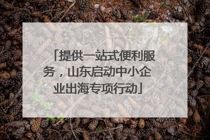 提供一站式便利服务，山东启动中小企业出海专项行动