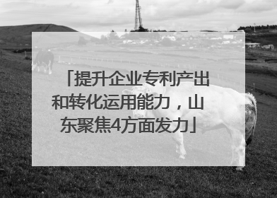 提升企业专利产出和转化运用能力，山东聚焦4方面发力
