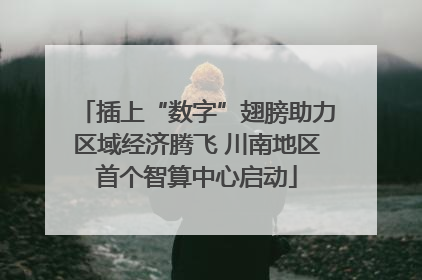 插上“数字”翅膀助力区域经济腾飞 川南地区首个智算中心启动