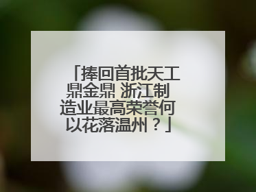 捧回首批天工鼎金鼎 浙江制造业最高荣誉何以花落温州？