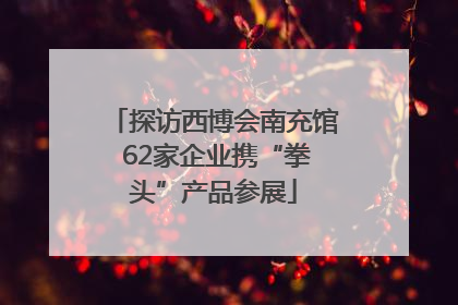 探访西博会南充馆 62家企业携“拳头”产品参展
