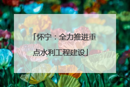 怀宁：全力推进重点水利工程建设