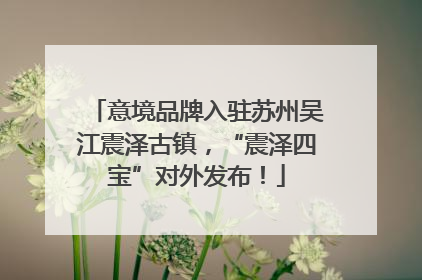 意境品牌入驻苏州吴江震泽古镇，“震泽四宝”对外发布！