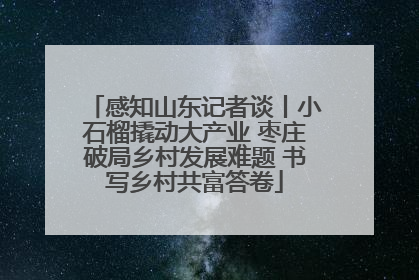 感知山东记者谈丨小石榴撬动大产业 枣庄破局乡村发展难题 书写乡村共富答卷
