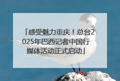 感受魅力重庆！总台2025年巴西记者中国行媒体活动正式启动