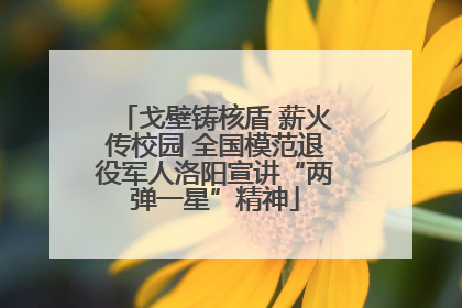 戈壁铸核盾 薪火传校园 全国模范退役军人洛阳宣讲“两弹一星”精神