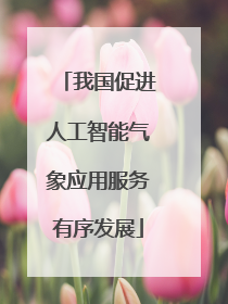 我国促进人工智能气象应用服务有序发展