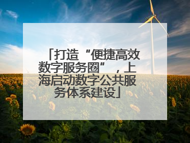 打造“便捷高效数字服务圈”，上海启动数字公共服务体系建设