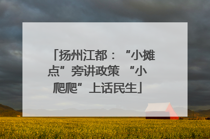 扬州江都：“小摊点”旁讲政策 “小爬爬”上话民生