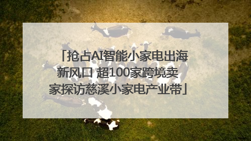 抢占AI智能小家电出海新风口 超100家跨境卖家探访慈溪小家电产业带