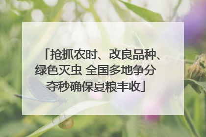抢抓农时、改良品种、绿色灭虫 全国多地争分夺秒确保夏粮丰收
