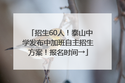 招生60人！泰山中学发布中加班自主招生方案！报名时间→