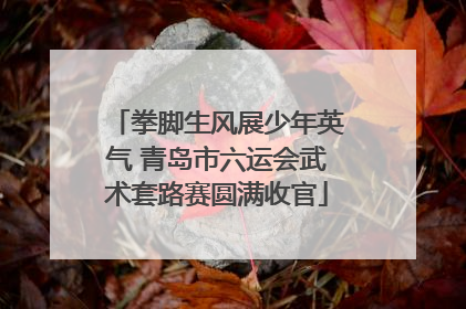 拳脚生风展少年英气 青岛市六运会武术套路赛圆满收官