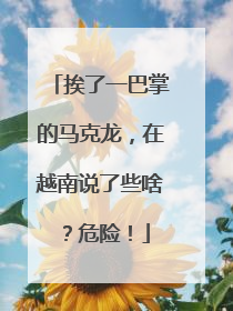挨了一巴掌的马克龙，在越南说了些啥？危险！