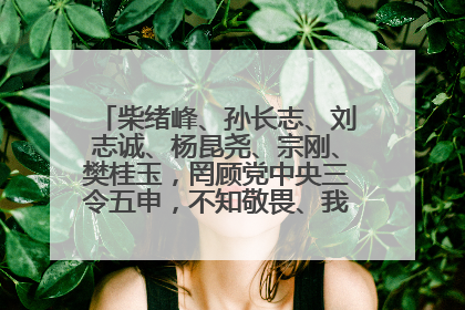柴绪峰、孙长志、刘志诚、杨昆尧、宗刚、樊桂玉，罔顾党中央三令五申，不知敬畏、我行我素、肆意妄为！