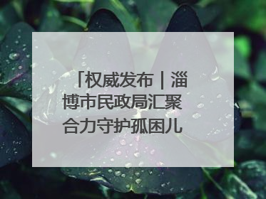 权威发布｜淄博市民政局汇聚合力守护孤困儿童健康成长