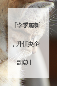 李季履新，升任央企副总