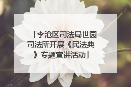 李沧区司法局世园司法所开展《民法典》专题宣讲活动