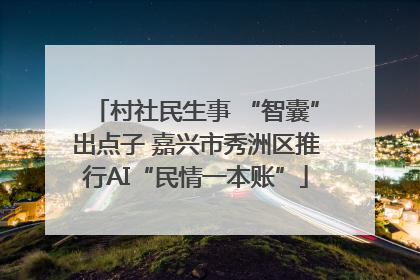 村社民生事 “智囊”出点子 嘉兴市秀洲区推行AI“民情一本账”