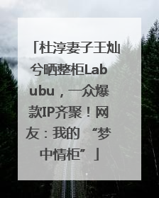 杜淳妻子王灿兮晒整柜Labubu，一众爆款IP齐聚！网友：我的 “梦中情柜”