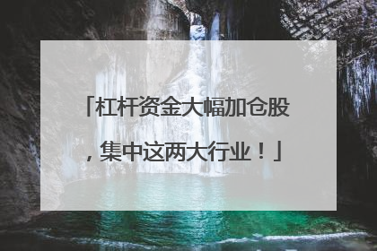 杠杆资金大幅加仓股，集中这两大行业！