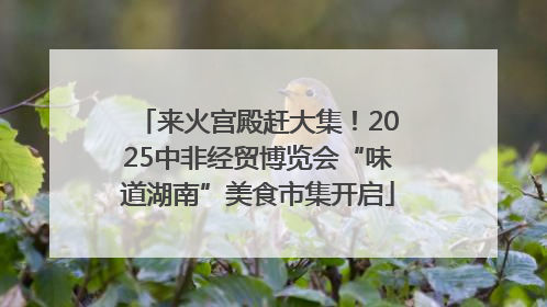 来火宫殿赶大集！2025中非经贸博览会“味道湖南”美食市集开启