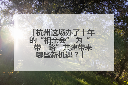 杭州这场办了十年的“相亲会” 为“一带一路”共建带来哪些新机遇？