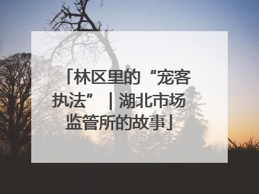 林区里的“宠客执法”｜湖北市场监管所的故事