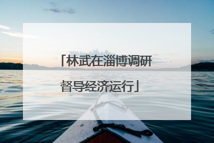 林武在淄博调研督导经济运行