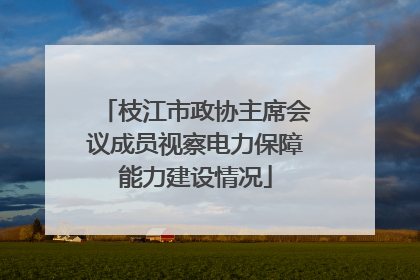枝江市政协主席会议成员视察电力保障能力建设情况