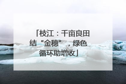枝江：千亩良田结“金穗”，绿色循环助增收