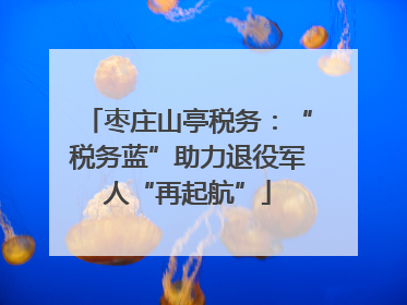 枣庄山亭税务：“税务蓝”助力退役军人“再起航”