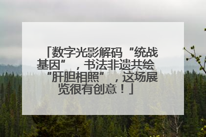 数字光影解码“统战基因”，书法非遗共绘“肝胆相照”，这场展览很有创意！