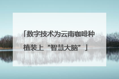 数字技术为云南咖啡种植装上“智慧大脑”