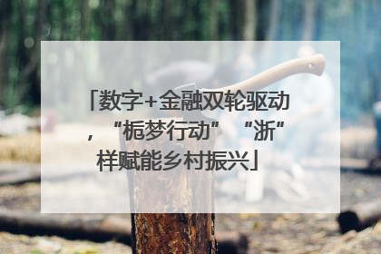 数字+金融双轮驱动，“栀梦行动”“浙”样赋能乡村振兴