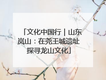 文化中国行｜山东岚山：在尧王城遗址探寻龙山文化