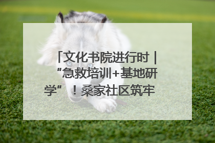 文化书院进行时｜“急救培训+基地研学”！桑家社区筑牢居民健康防线